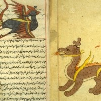     مفهوم دانش در تمدن اسلامی (مورد عجائب المخلوقات طوسی) 